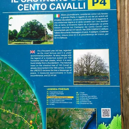 Cartoline Dall'etna Bed & Breakfast Zafferana Etnea
